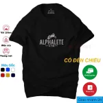 Áo thun nam Alpha A3 cá tính, lịch lãm - Vải dầy dặn con giãn tốt